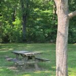 Picnic area 2