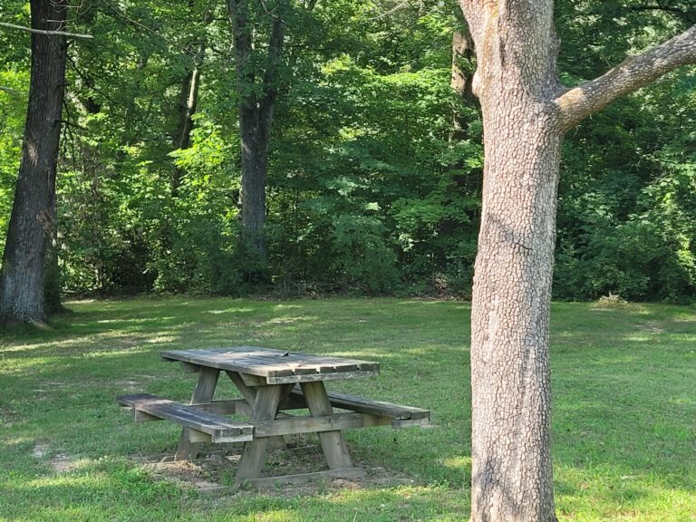 Picnic area 2